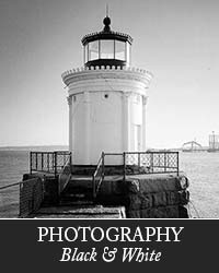 Black and White Photography Gallery