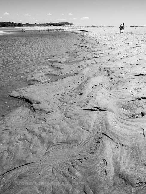Textures in the Sand-Reid State Park