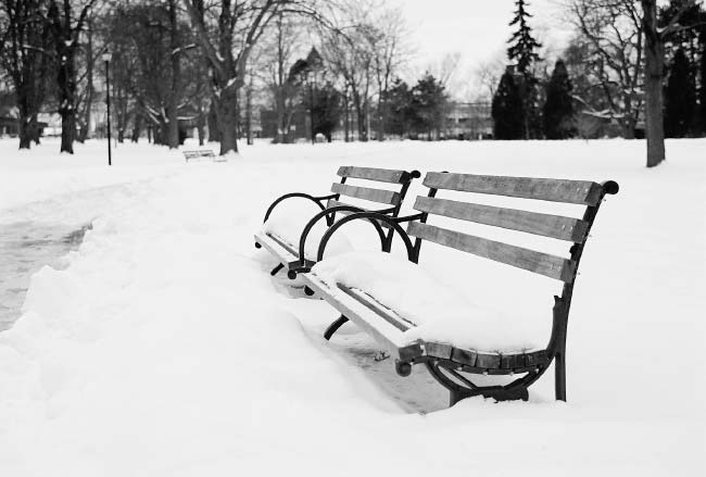 Winter Benches, Deering Oaks Park