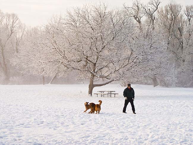 Winter in Royal River Park