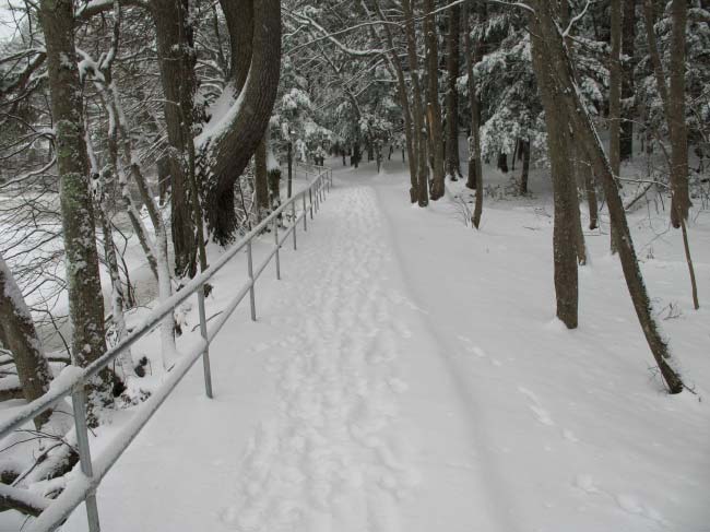 Path through Royal River Park in Winter