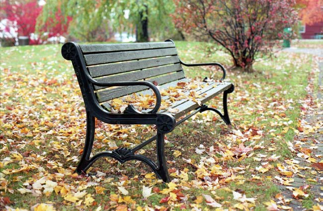 Park Bench in Village Green Park