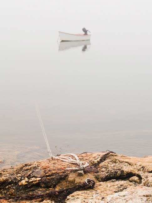 Tied Up at Old Town Landing