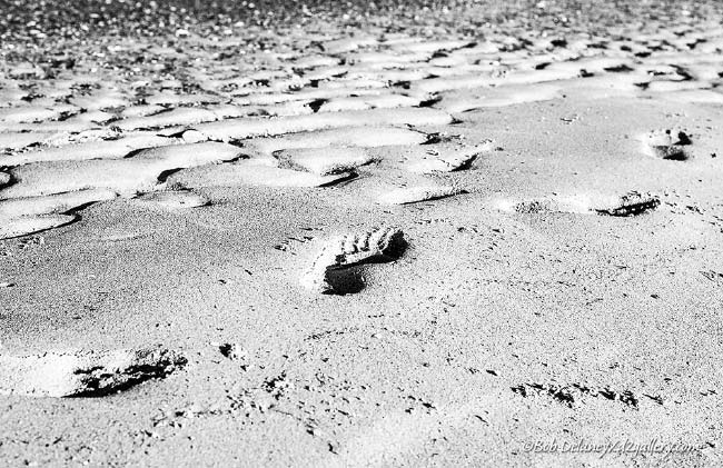 Footprints and Ripples at Sandy Point Beach