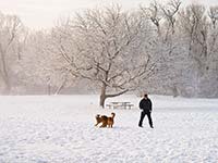 Winter in Royal River Park - click to view larger image...