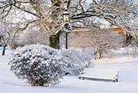 Village Green Park After a Snow Storm - click to view larger image...